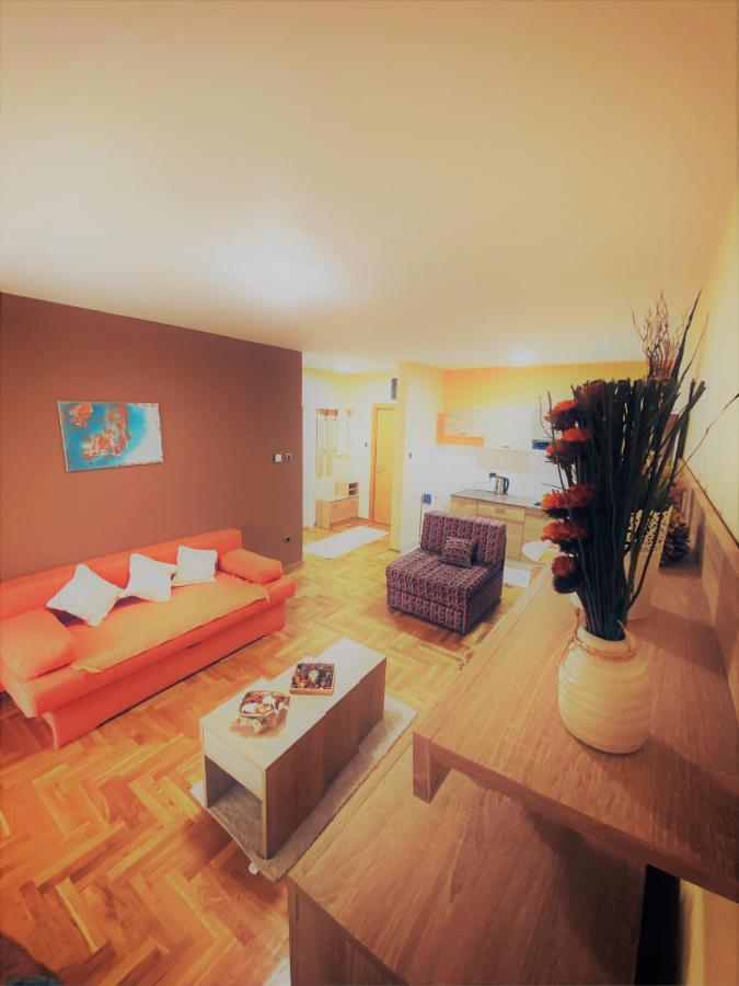 Apartment Vas Raj Novi Sad Esterno foto